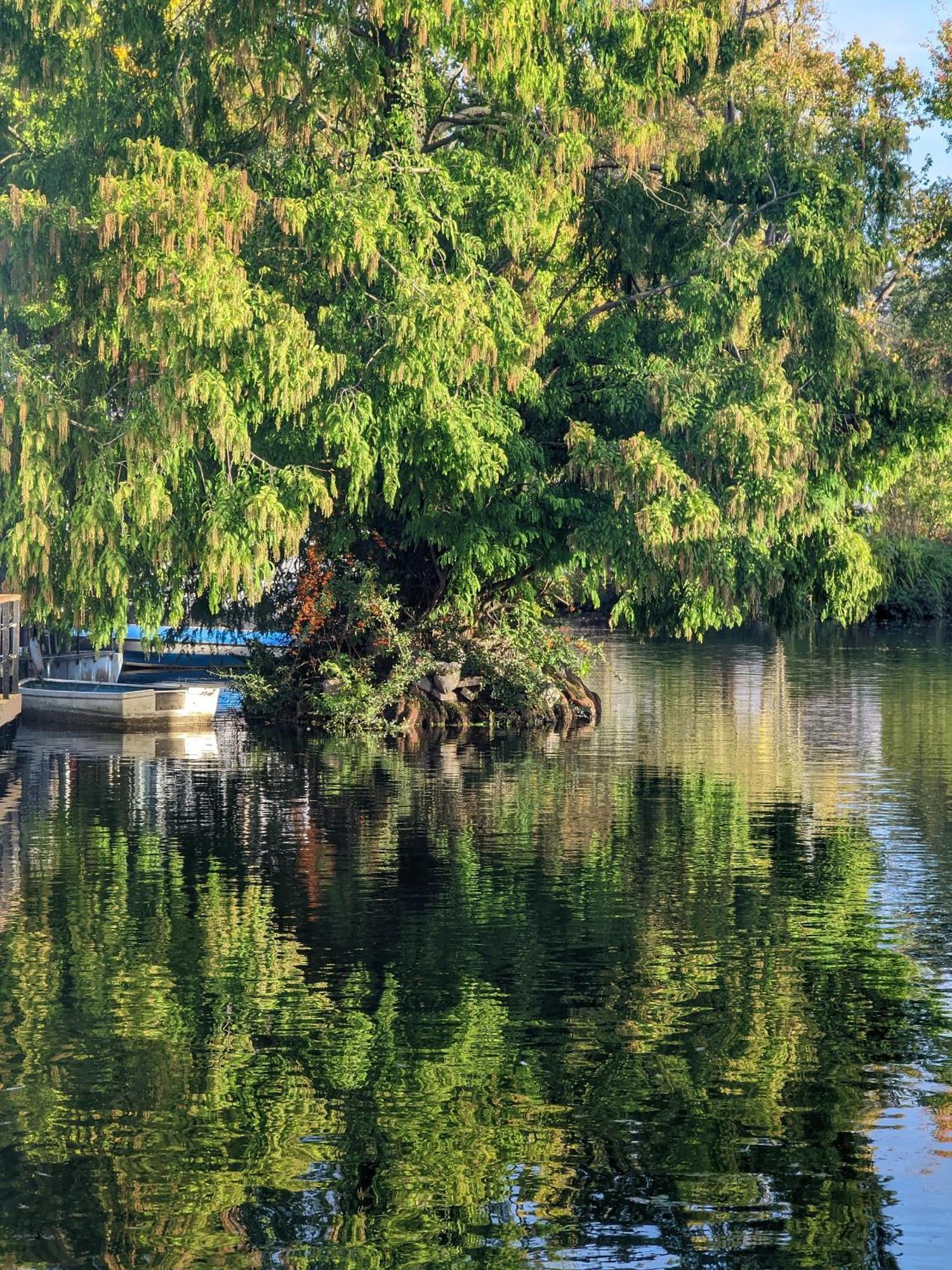Tulana Taggs - Floating Home On Idyllic Island Hampton Hill Экстерьер фото